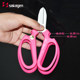 Banyuan Flower Cut Japan imported SAKAGEN gardening scissors and flower shop Flower Artists Save and Save Save Tools Cut
