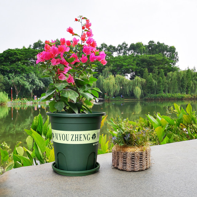 Plastic flower pots for household thickened durable resin orchid green ivy rose outdoor courtyard balcony second generation root control gallon