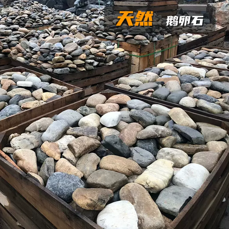 天然花坛 新人首单立减十元 21年10月 淘宝海外