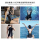 pulassi racing swimsuit women's hot spring 2025 new swimming pool special large size swimsuit classic black
