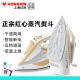 Hongxin household electric iron steam iron iron iron handheld smart power outage high power 2000 watt ironing machine