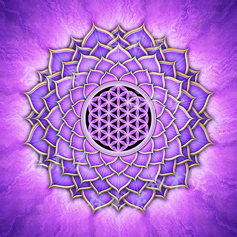 紫色生命之花桌布水晶布仪式布塔罗布