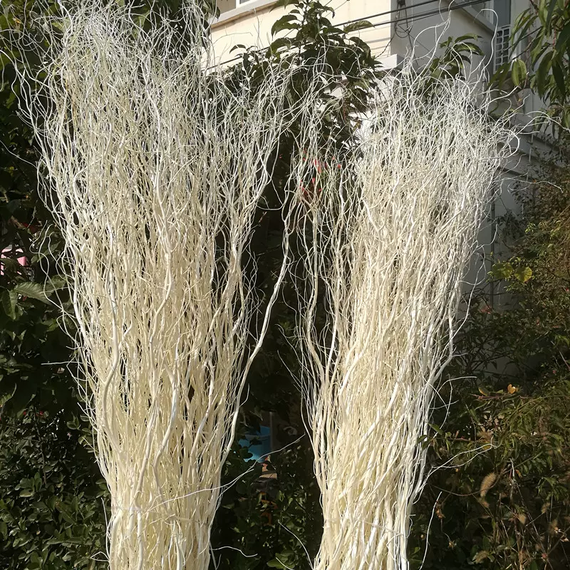 干支干花婚庆拱门云龙柳干枝带皮本色褐色龙柳客厅落地