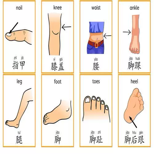 体汉字卡片 新人首单立减十元 22年1月 淘宝海外