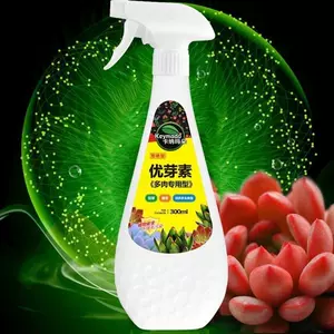 花芽植物 新人首单立减十元 22年6月 淘宝海外