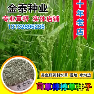 水草食用 Top 0件水草食用 22年11月更新 Taobao