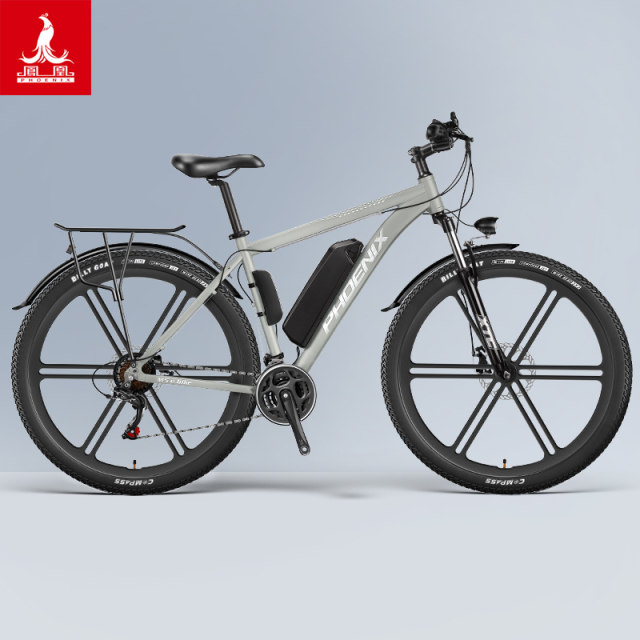 Phoenix M5 lithium battery electric bicycle new national standard male and girls 29 -inch adult electric vehicle battery vehicle electric car