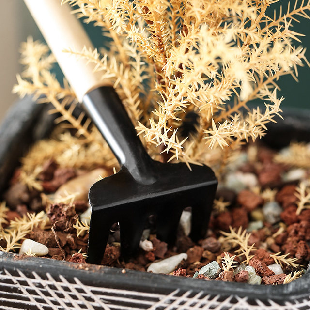 Potted small shovel planting flowers and gardening tools Planting succulent tools Set mini three -piece home with iron shovel
