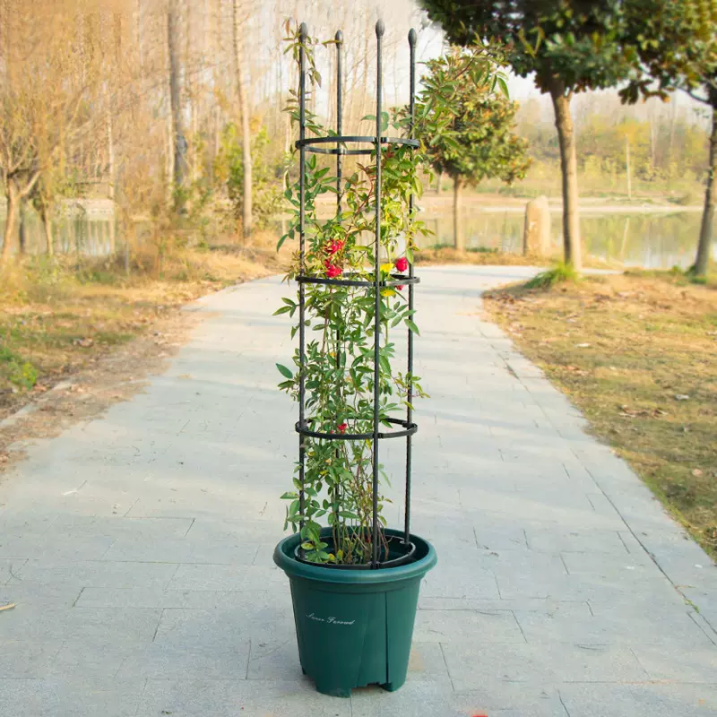 盆栽莲花室内盆 新人首单立减十元 21年11月 淘宝海外