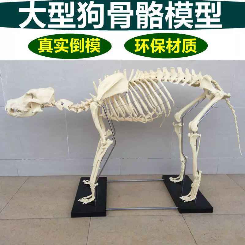 狼標本 新人首單立減十元 21年11月 淘寶海外 狼標本 新人首單立減十元 21年11月 淘寶海外