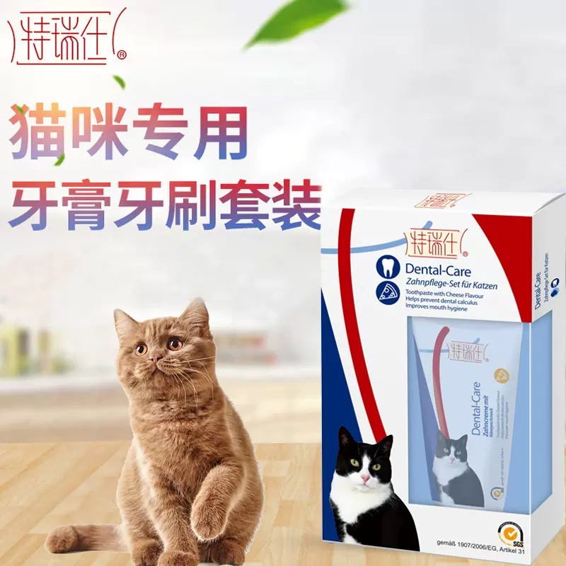 宠物洗牙工具 新人首单立减十元 2021年12月 淘宝海外
