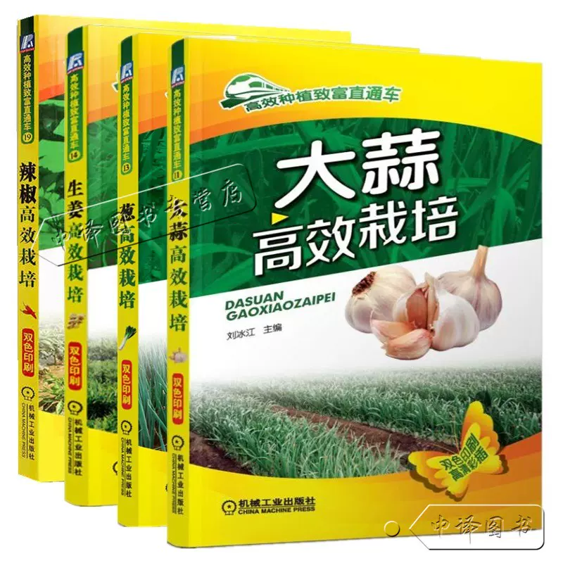 生姜栽培 大蒜栽培 葱栽培 辣椒栽培大棚蔬菜种植书籍蒜苗