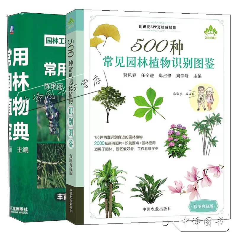 500种常见园林植物识别图鉴彩图典藏版 常用园林植物宝典