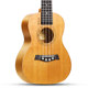 Weber Ukulele Beginners Boys and Girls Beginners Beginners Ukulele Children's Small Guitar Flagship Store Instrument