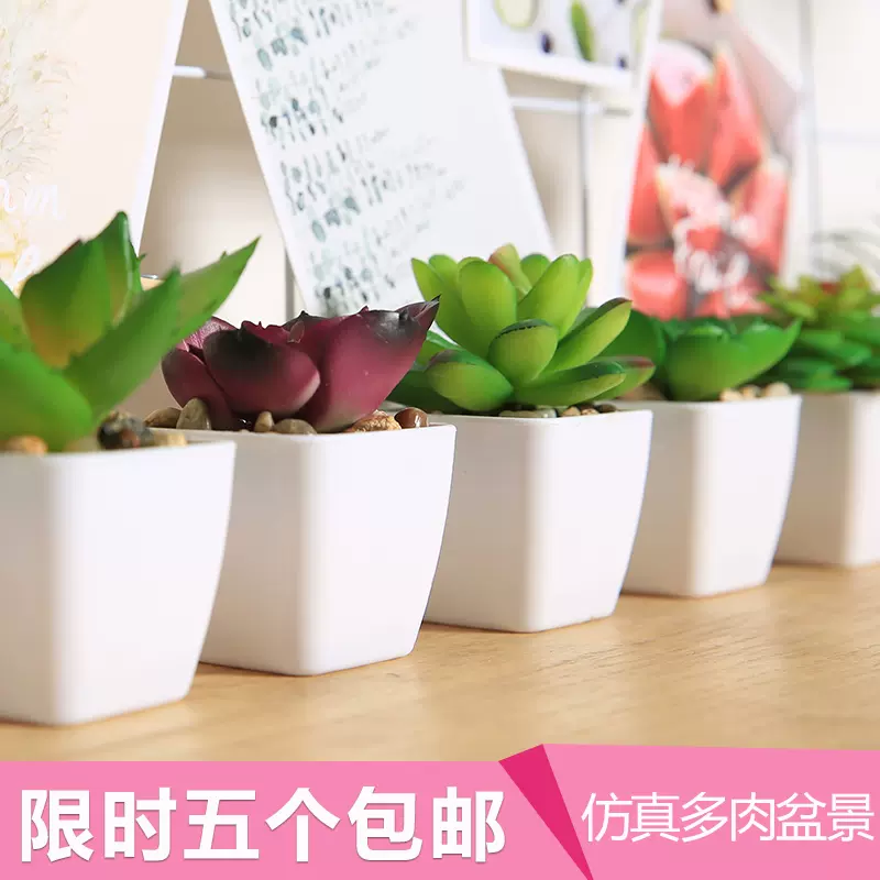 仿真多肉植物迷你小盆栽摆放假花绿植装饰品室内客厅