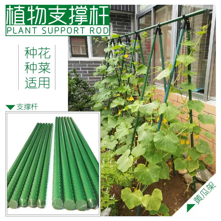 蔬菜种植架盆栽攀爬爬藤铁艺花架阳台菜园支柱杆diy园艺搭架