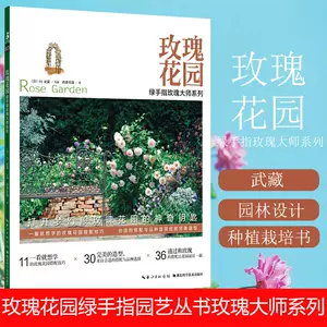 玫瑰花园设计 新人首单立减十元 22年6月 淘宝海外
