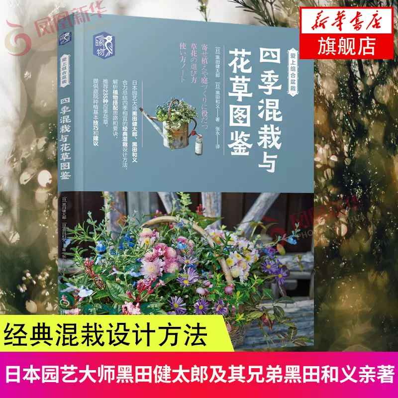 四季花庭院 新人首单立减十元 21年11月 淘宝海外