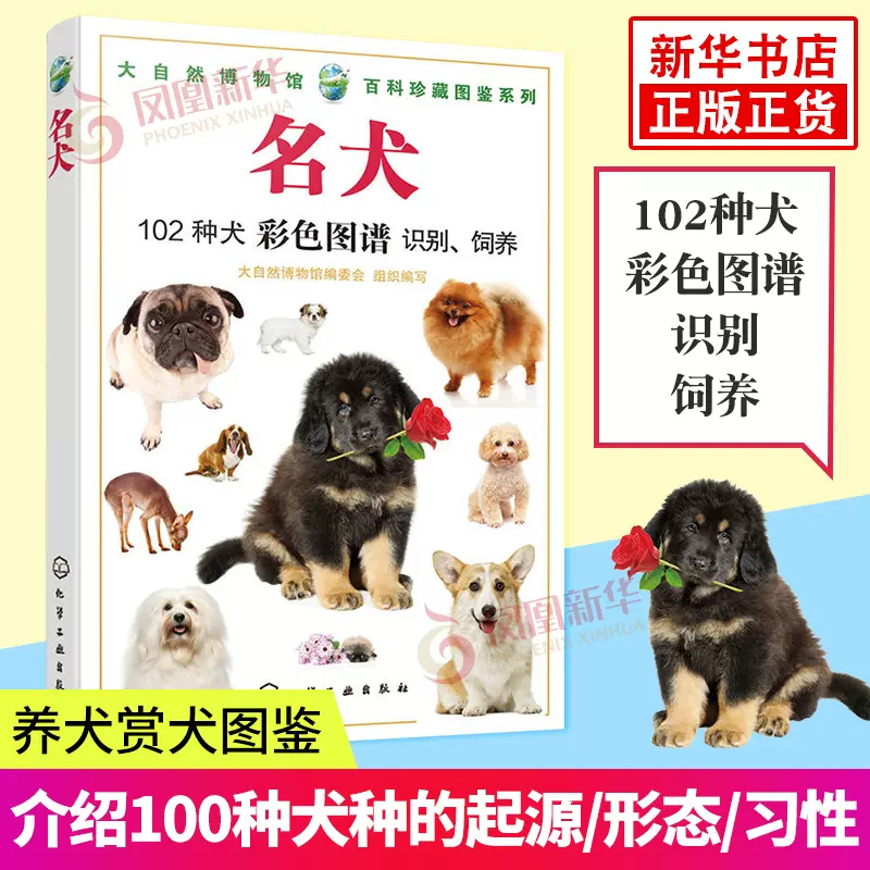 名犬識別選擇養犬賞犬圖鑑狗狗品種資料書籍400多幅精美的名貓圖片大自然博物館編委會鳳凰新華書店旗艦店