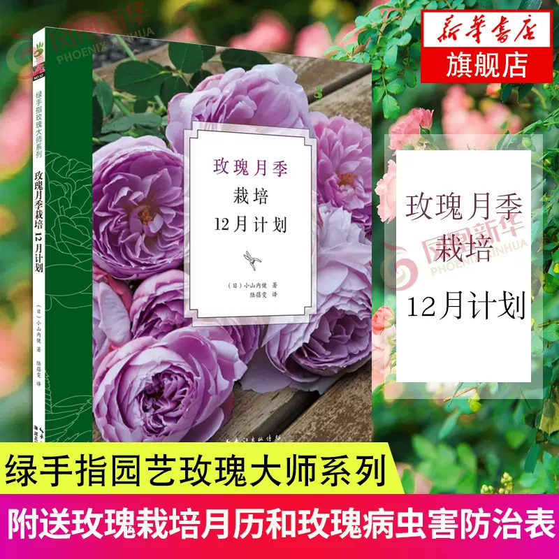 家养植物室内 新人首单立减十元 21年11月 淘宝海外