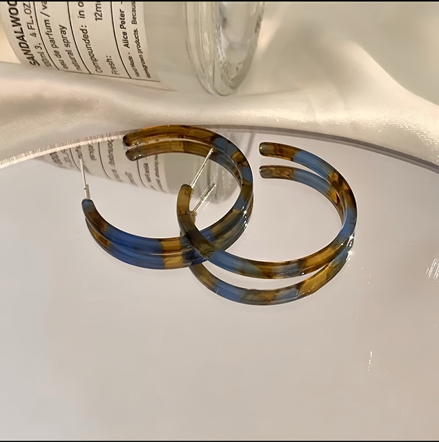 Leopard amber earrings for women autumn and winter 2025 new popular high-end earrings retro Hong Kong style large earrings hoops