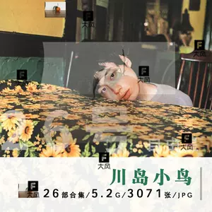 川岛小鸟摄影集- Top 100件川岛小鸟摄影集- 2024年6月更新- Taobao