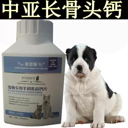 犬用牧羊 新人首单立减十元 22年1月 淘宝海外