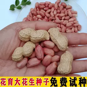 婆婆納種子 新人首單立減十元 22年5月 淘寶海外