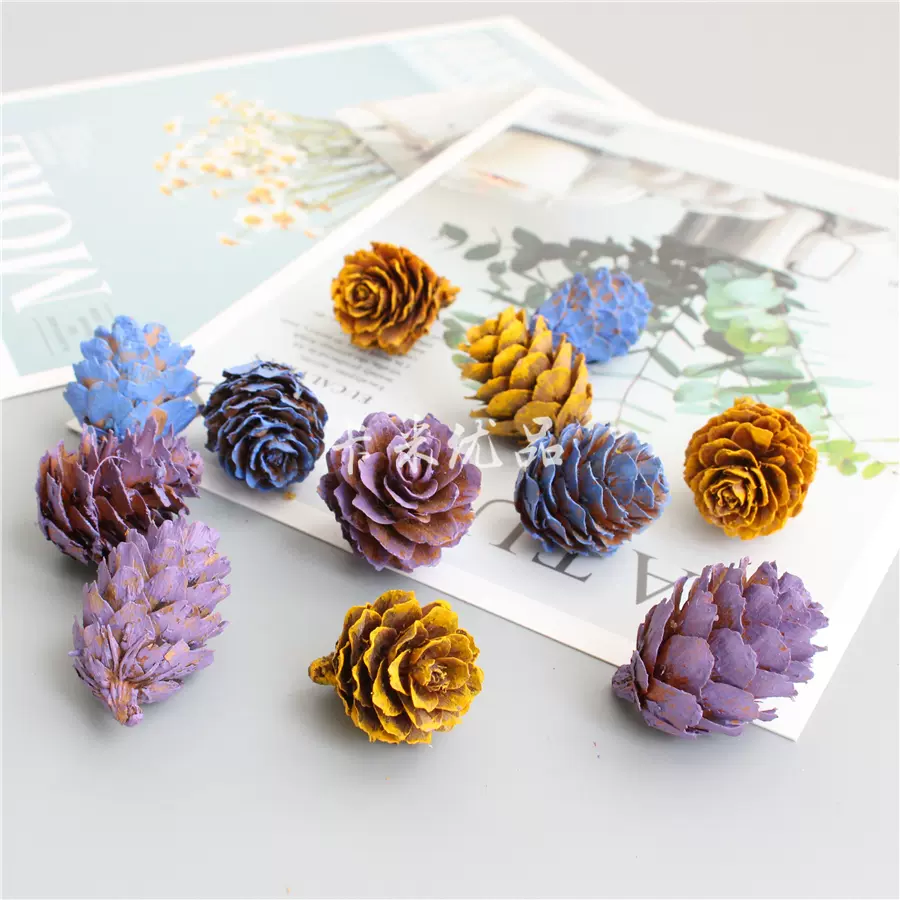 松塔家 新人首单立减十元 21年11月 淘宝海外