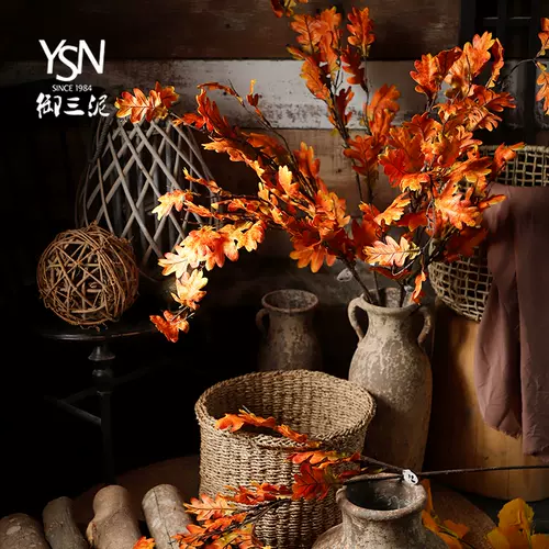 红叶杜鹃 新人首单立减十元 22年1月 淘宝海外