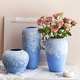 Jingdezhen new Chinese style Zen simple ceramic vase with flowers and dried flowers ornaments entrance home living room decorations