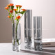 Simple modern glass small vase flower arrangement ins wind flower appliance water-raising flowers home living room desktop decoration ornaments