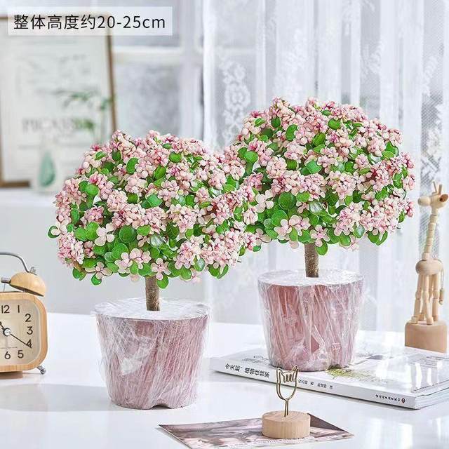 Golden branches, jade leaves, old pile potted succulents, wholesale indoor flowers, drought-resistant, easy to grow for lazy people, lollipop shape