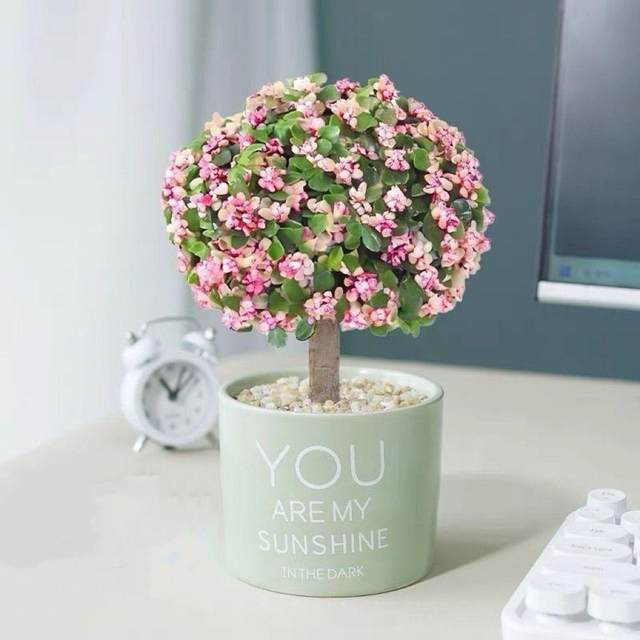 Golden branches and jade leaves for many years old pile potted plants with pots with soil indoor balcony office desktop green plants flower lollipop