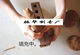 Backflow incense handmade natural bullet water dripping Yunlaoshan sandalwood grain incense self-produced and sold in bulk