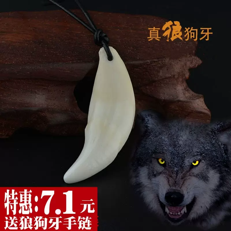 吴京同款狼牙项链吊坠真品狗牙骨质男女情侣锁骨链