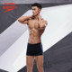 Speedo/speedo comfortable anti-chlorine sun protection competition professional training boxer men's swimming trunks iceberg swimming pool
