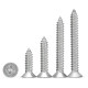 304 stainless steel cross countersunk head self-tapping screw flat head wood screw lengthening screw M2M3M3.5M4M5M6M8M