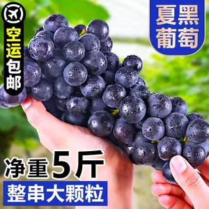 再入荷 480.クール便すもも約500g+黒ぶどう種無し約1kg+新鮮生ライチ約