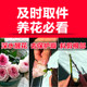 Flowers Yunnan base straight hair rose perfume lily home flower arrangement flowers carnation sunflower fresh cut