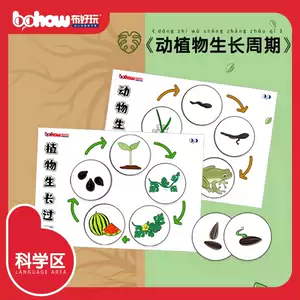 植物生长过程 新人首单立减十元 22年7月 淘宝海外 植物生长过程 新人首单立减十元 22年7月 淘宝海外