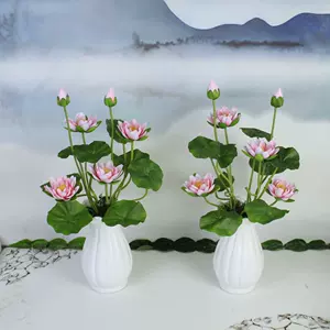 佛前供花供佛荷花 新人首单立减十元 22年4月 淘宝海外