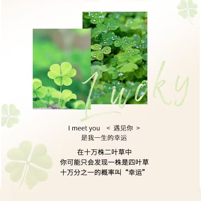 Vana four-leaf clover earrings women's sterling silver earrings 2025 new popular style simple earrings as a gift for your girlfriend