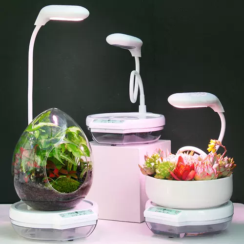 植物台灯盆栽 新人首单立减十元 22年2月 淘宝海外