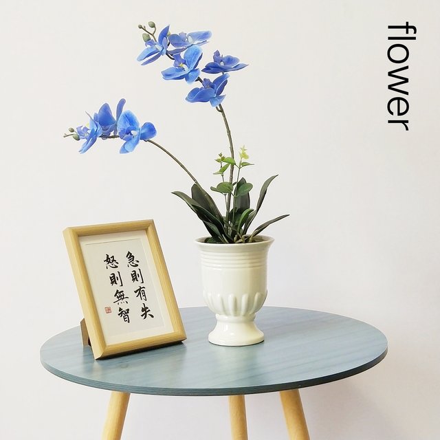 
Nordic ins style ceramic vase decoration living room flower arrangement light luxury high-end butterfly orchid flower vessel dining table home