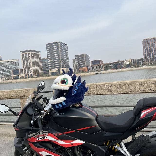 Awakening Lion Motorcycle Helmet Cover Year of the Dragon Limited Helmet Cover Faucet Warm Plush Cute Chinese New Year Helmet Cover