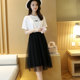 Mesh skirt for women in summer 2025 new thin high-end high-waisted and slim A-line small mid-length pleated skirt