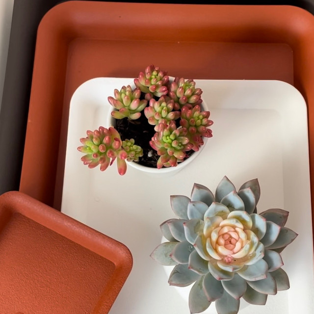Frosted resin thickened plastic rectangular flower pot tray pot tray water tray base flower tray deepening balcony