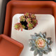 Frosted resin thickened plastic rectangular flower pot tray pot tray water tray base flower tray deepening balcony