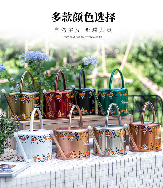 Home Succulent Pot Plant Watering Kettle Creative Long Mouth Drying Bottle Gardening European Sprinkler Retro Stainless Steel Sprinkler
